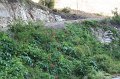 IMG_8232