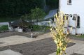 IMG_8240
