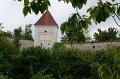 IMG_0355